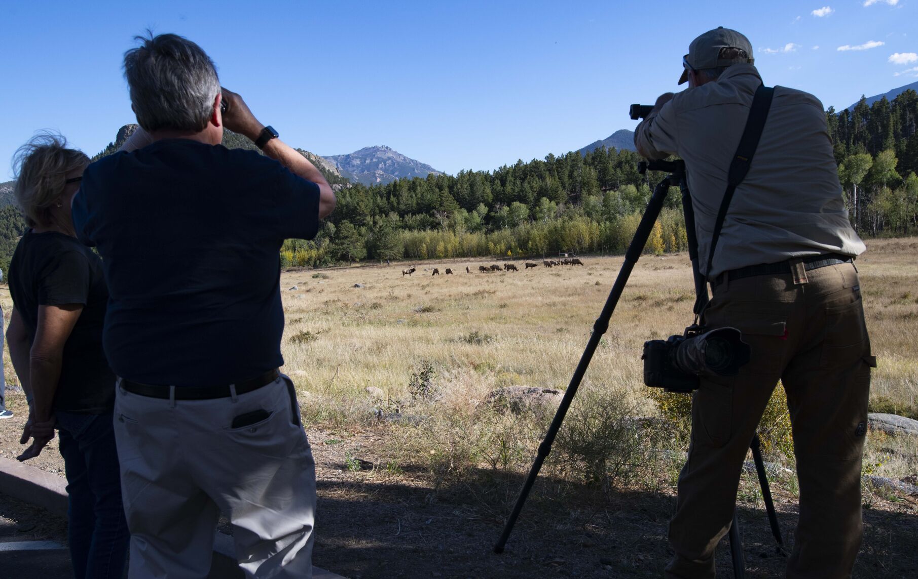 100922-life-elk 3.jpg